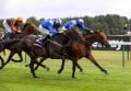 Racing returns to Haydock Park for first time since coronavirus lockdown