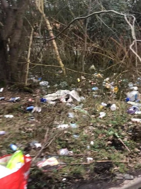 Some of the waste left in the area