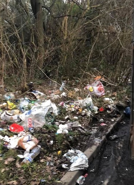 Some of the waste left in the area