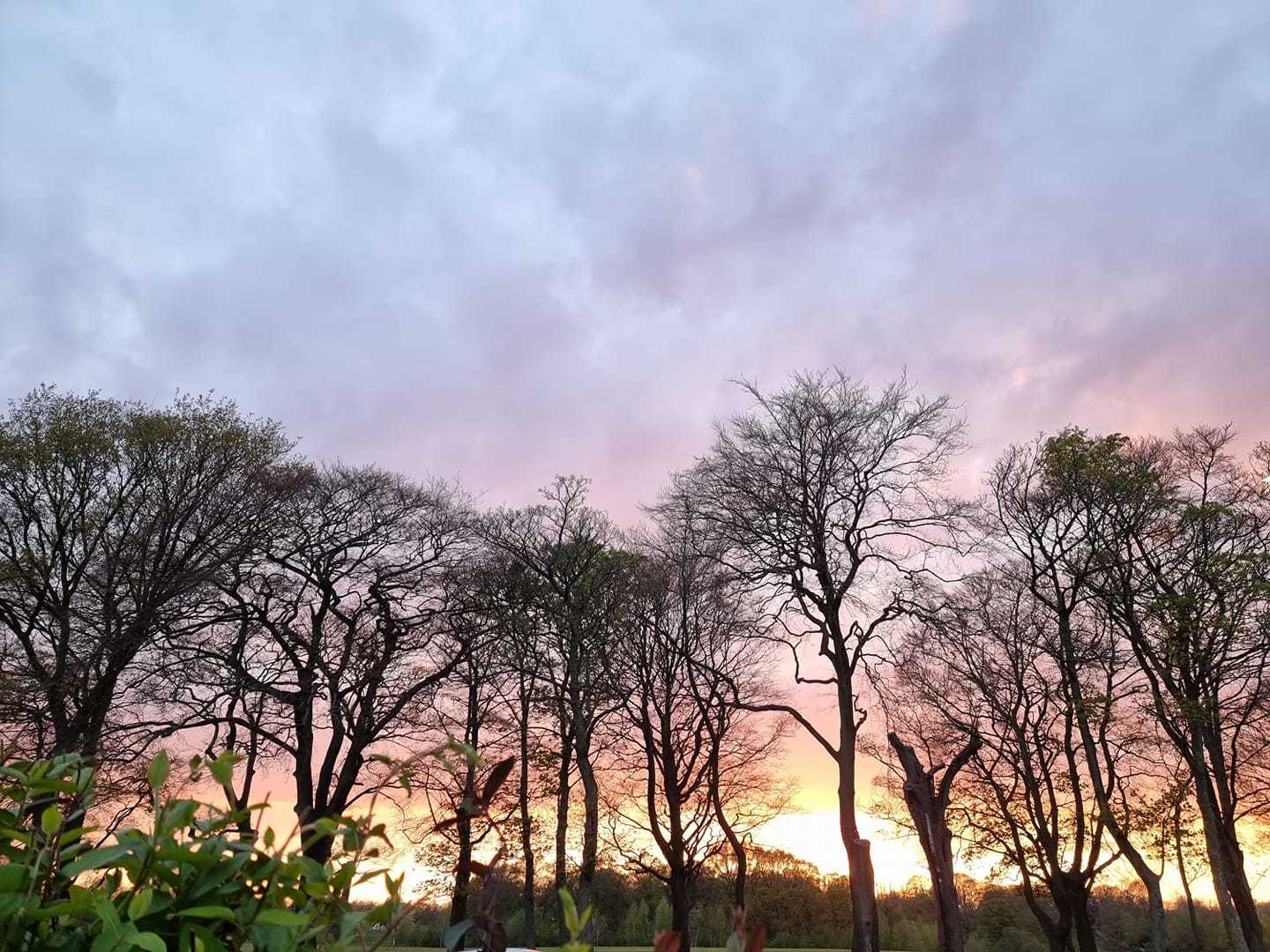 Suzy Sukins sunset over Sherdley Park