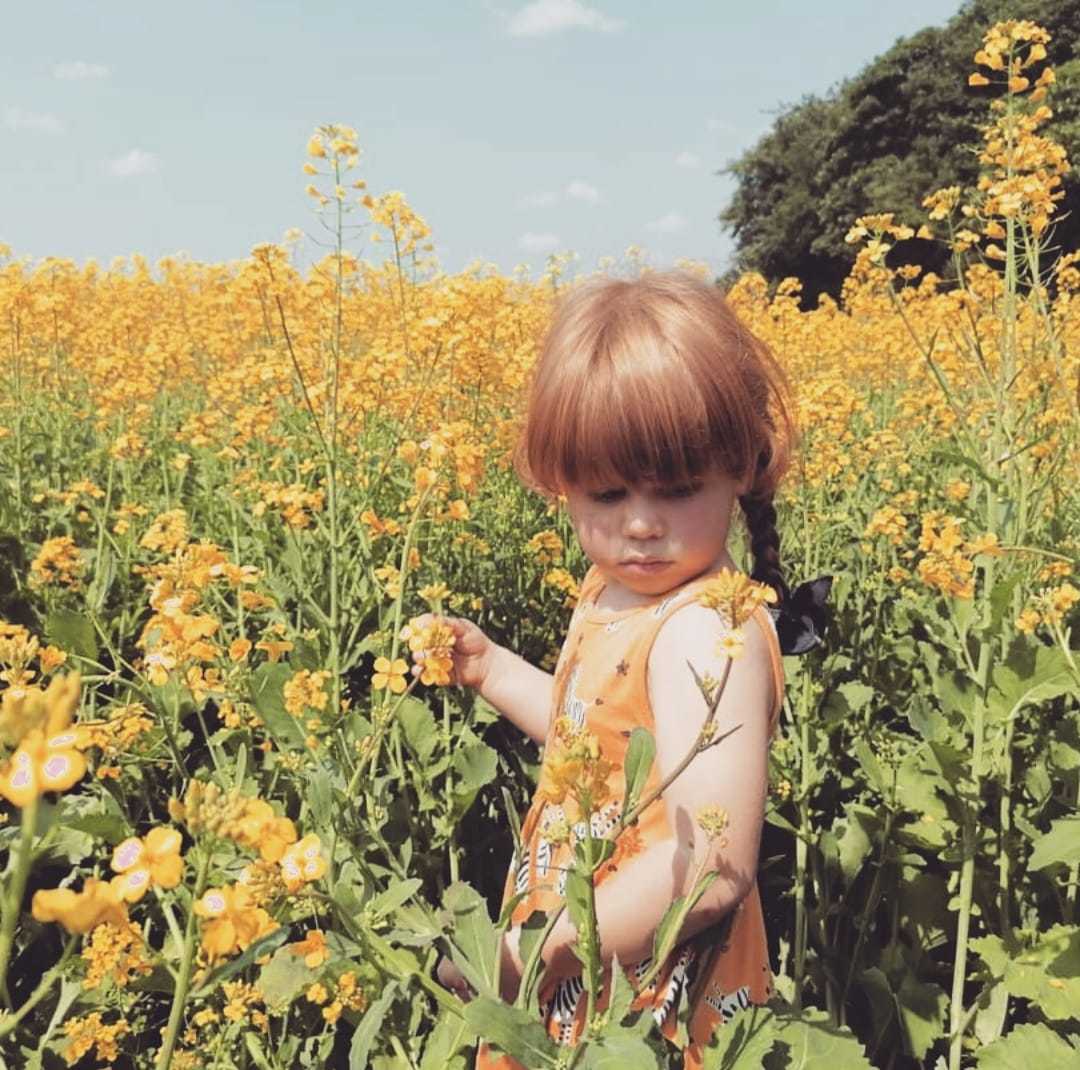 Fields of gold in Billinge by Emma Lacey