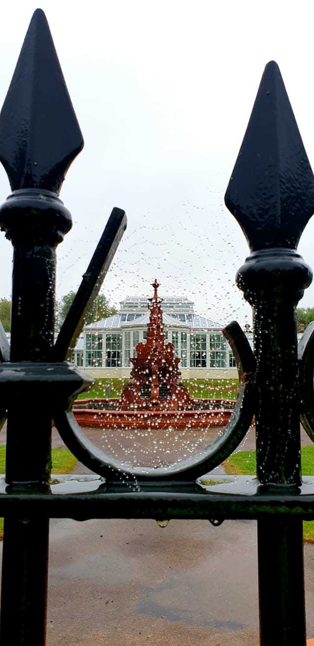 A spiders web at Victoria Park by Linda Howell