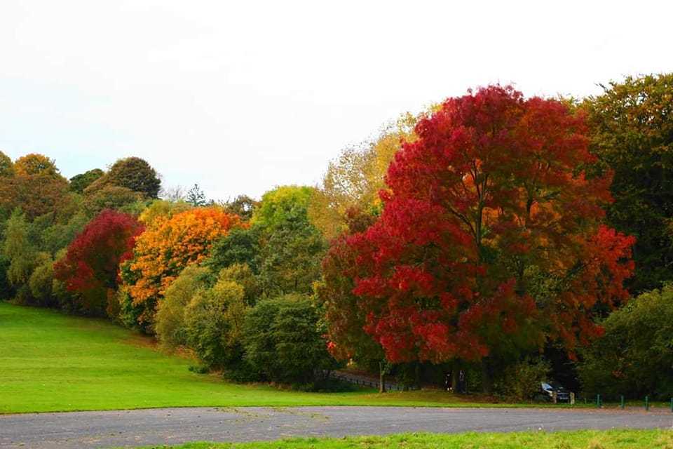 Autumn in Sherdley Park by Peter Boylan