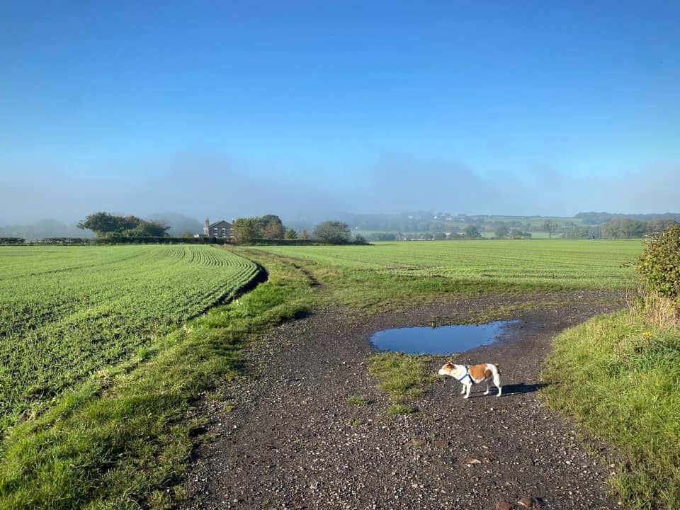 The track from sunny Billinge to a misty Carr Mill Dam by Dave Harrison