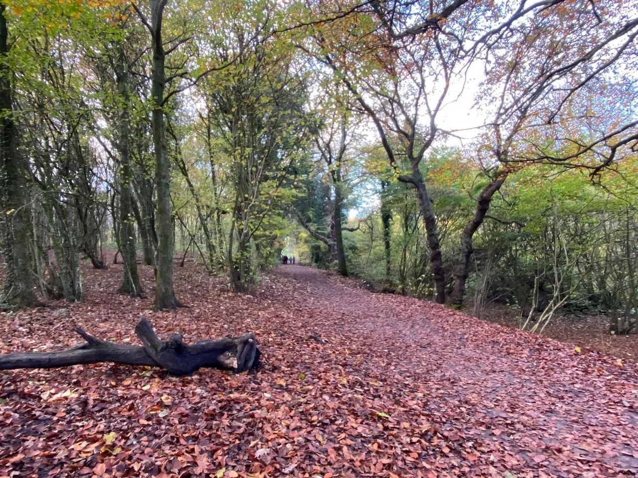 Autumn walk from the Ship Inn to Carr Mill Dam