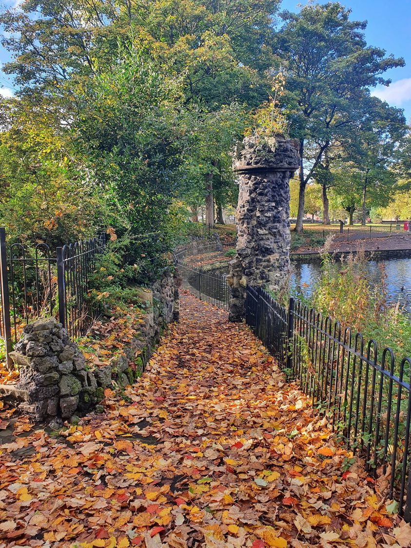 A pathway of leaves by Clare White