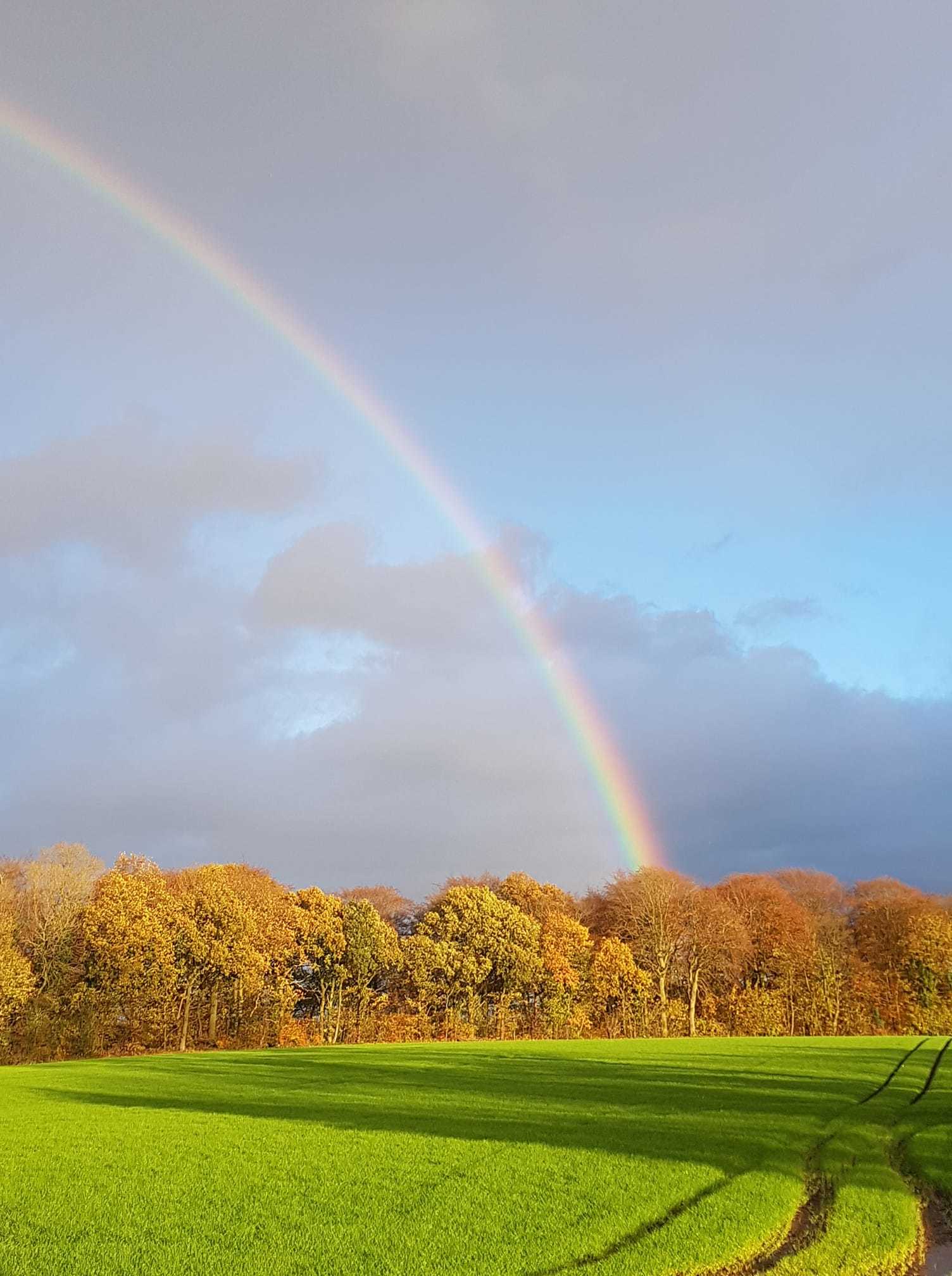 Rainbow skies by Andy Hewitt