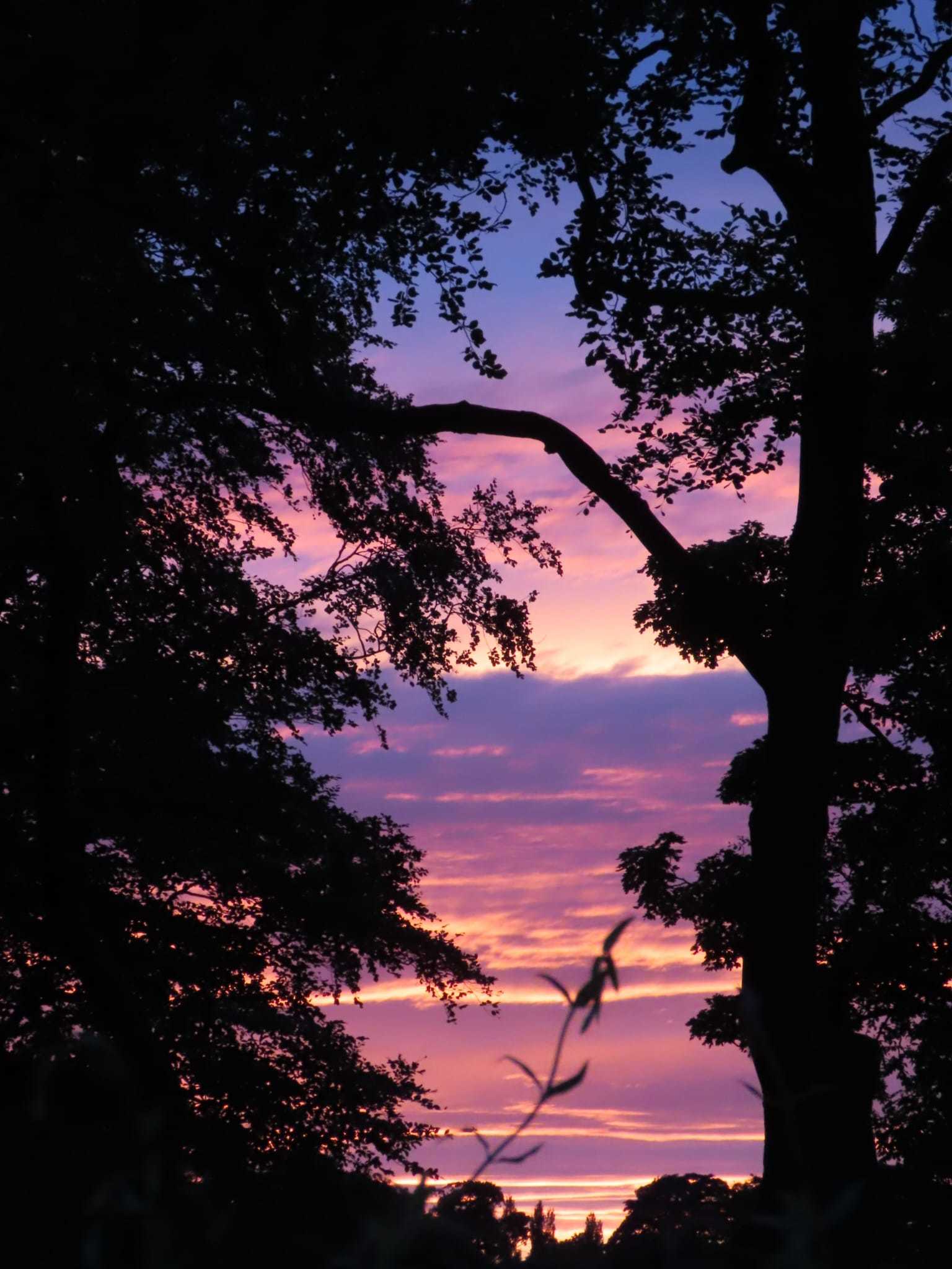 Sunset at Sherdley Park