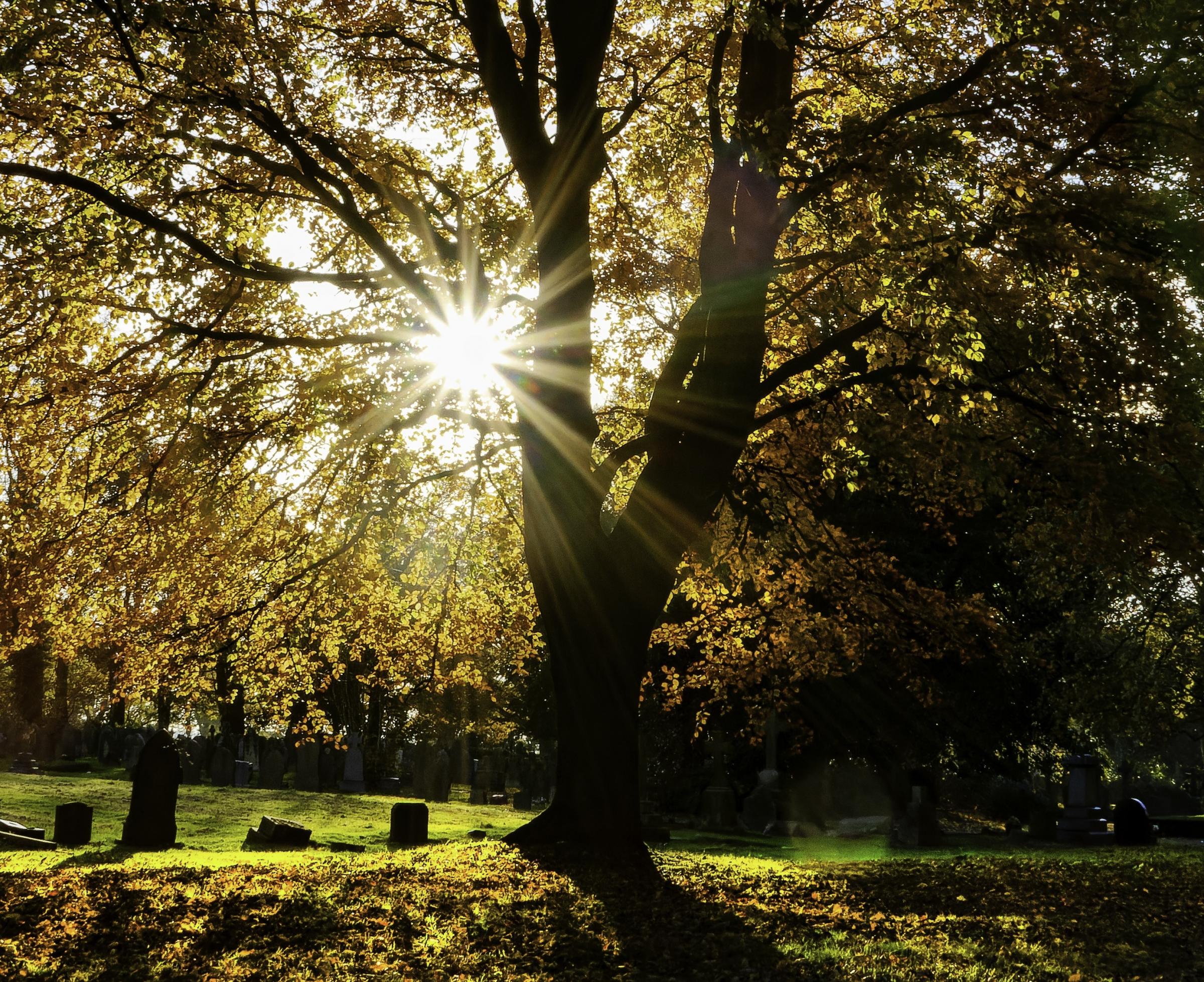 Burst of sunlight at Windle