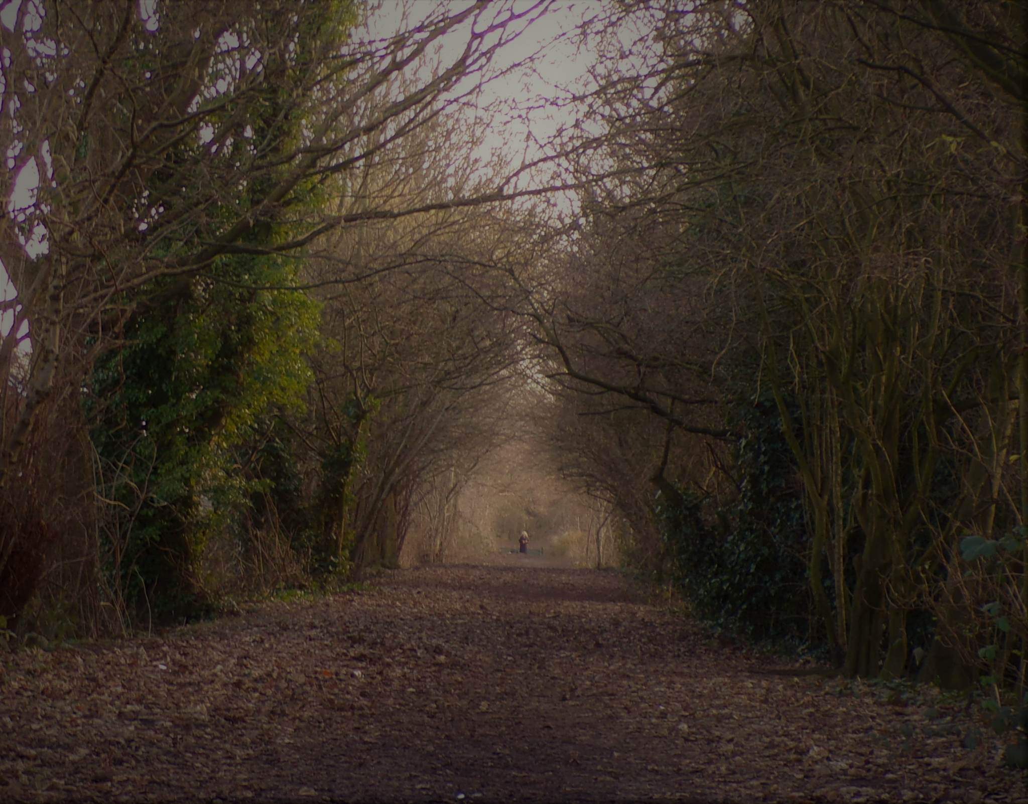 Old railway line in Eccleston