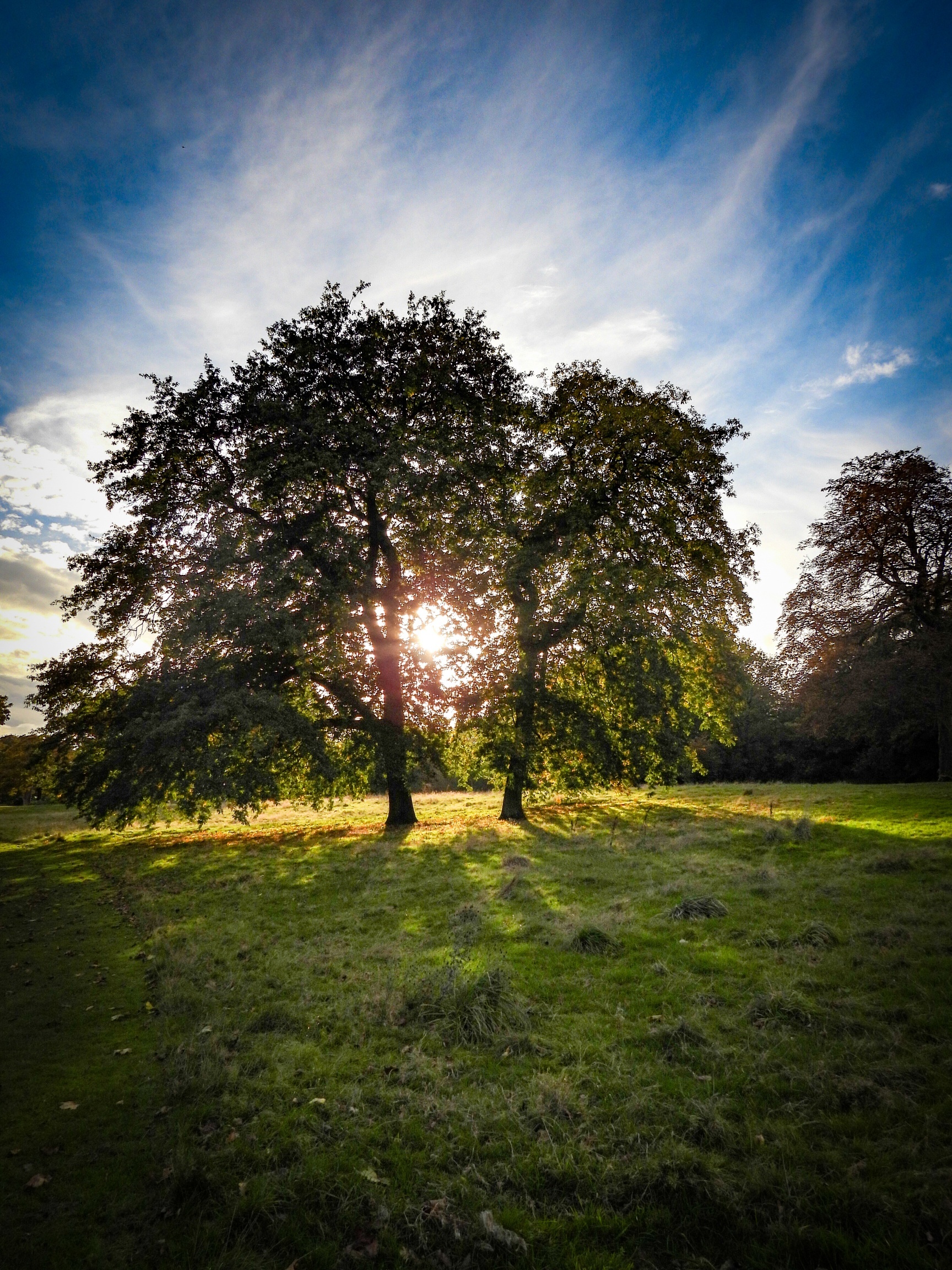 Sherdley Park sunset