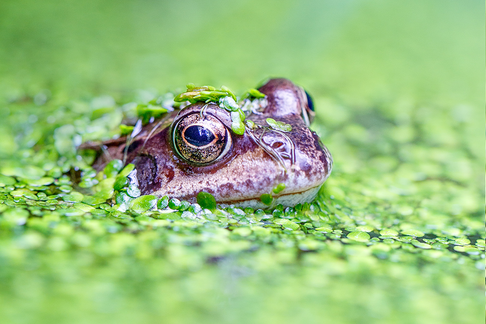 I see you by Mark Cavendish