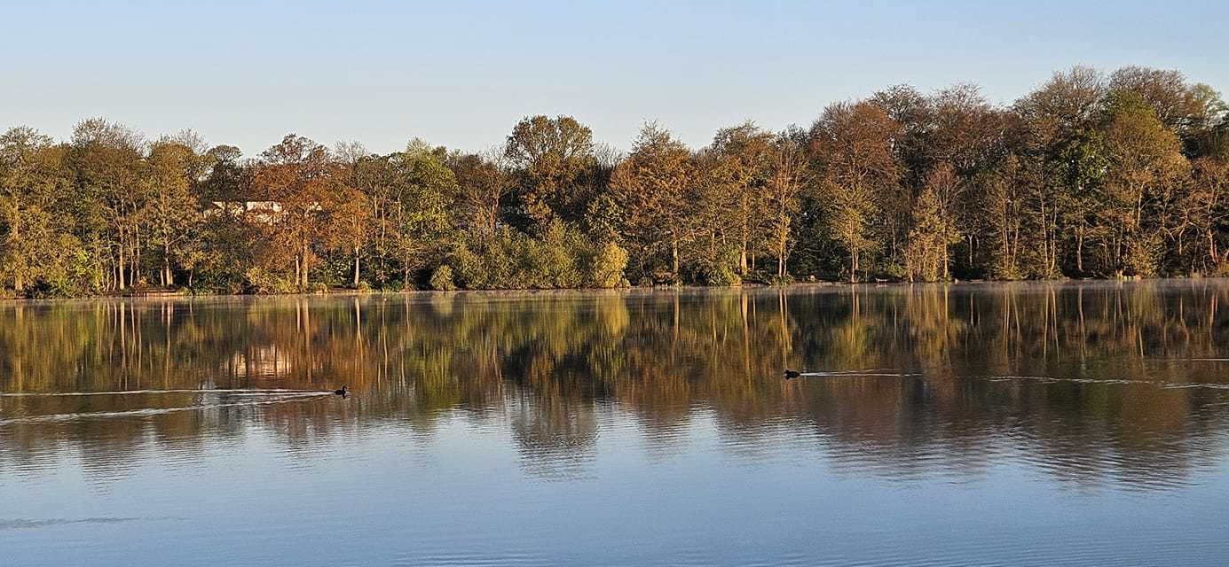 Ducks on the dam by Steven Southward