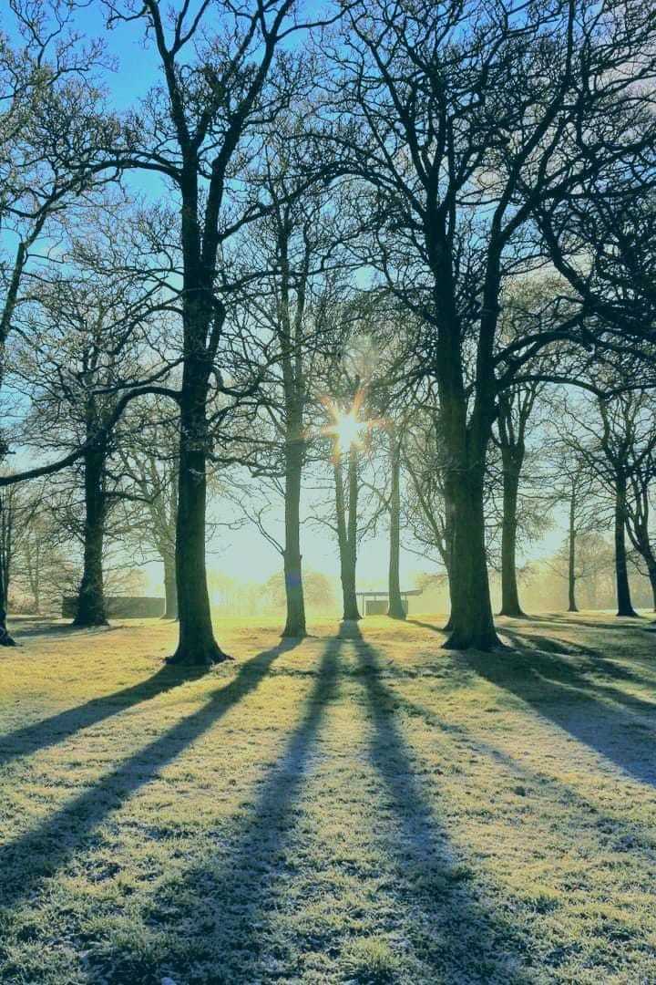 Sherdley Park by Peter Boylan