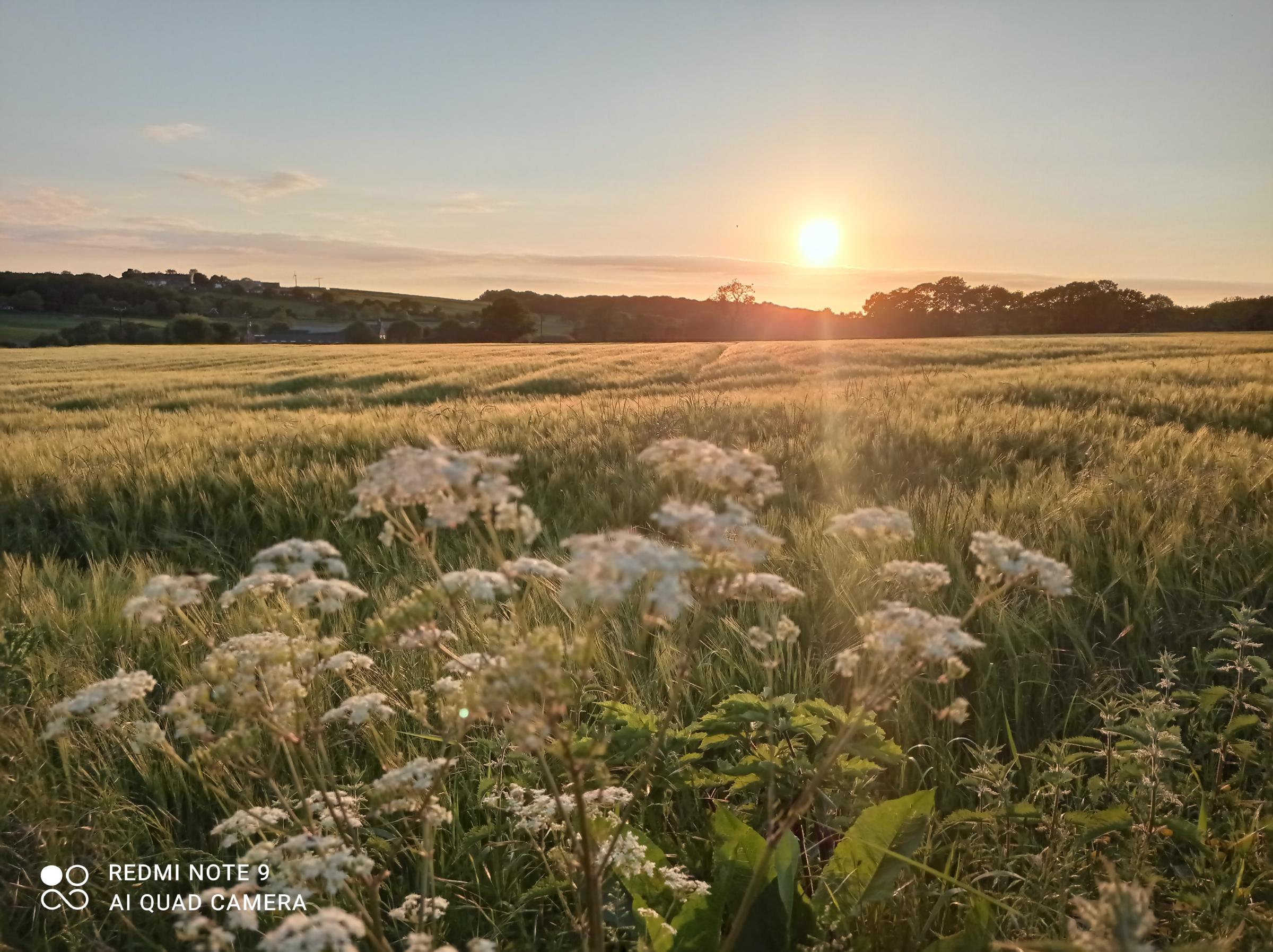 Make hay while the sun shines