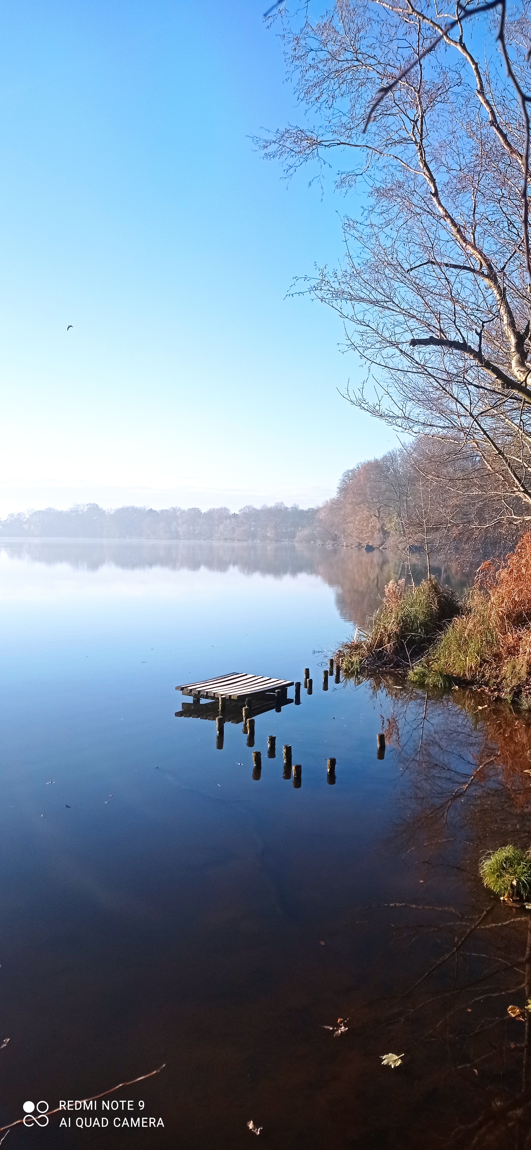 Shades of autumn at Carr Mill Dam