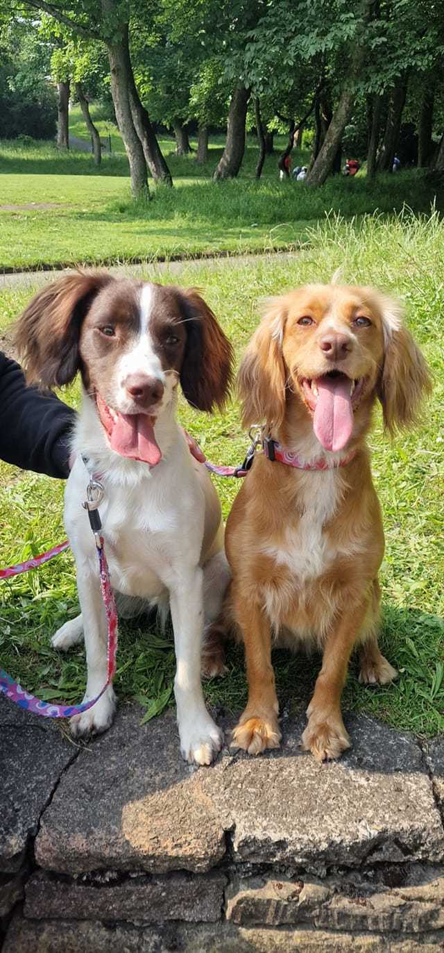 Flossie and Dottie by Emma L Dowd