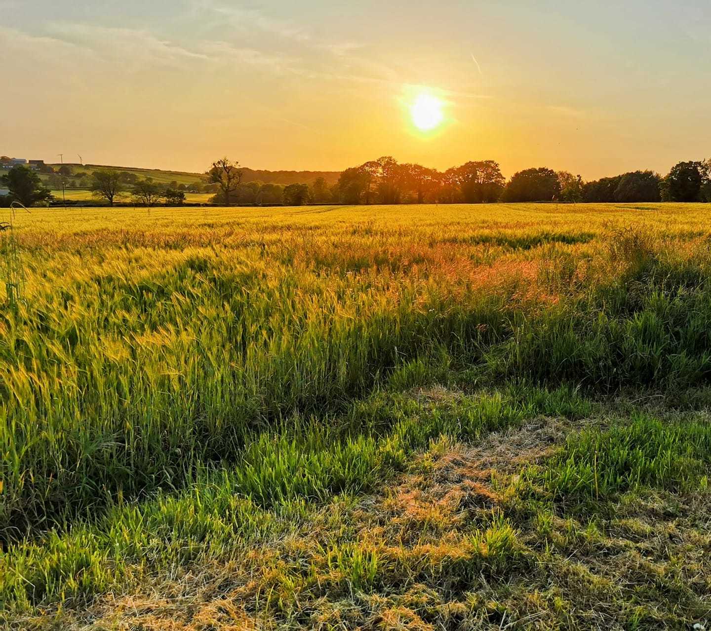 Fields near Carr Mill Dam by Geoff Jackson