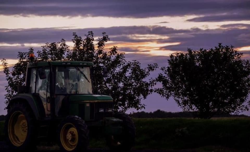 Inglenook Farm at sunset by Hilary Bradshaw