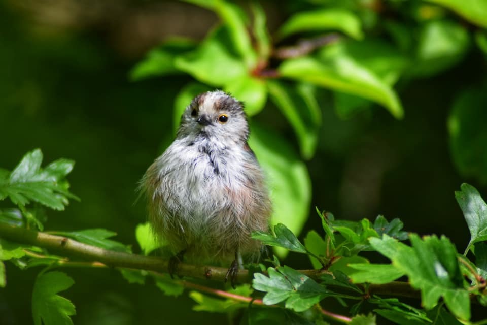 Sitting pretty by Bec Birchall