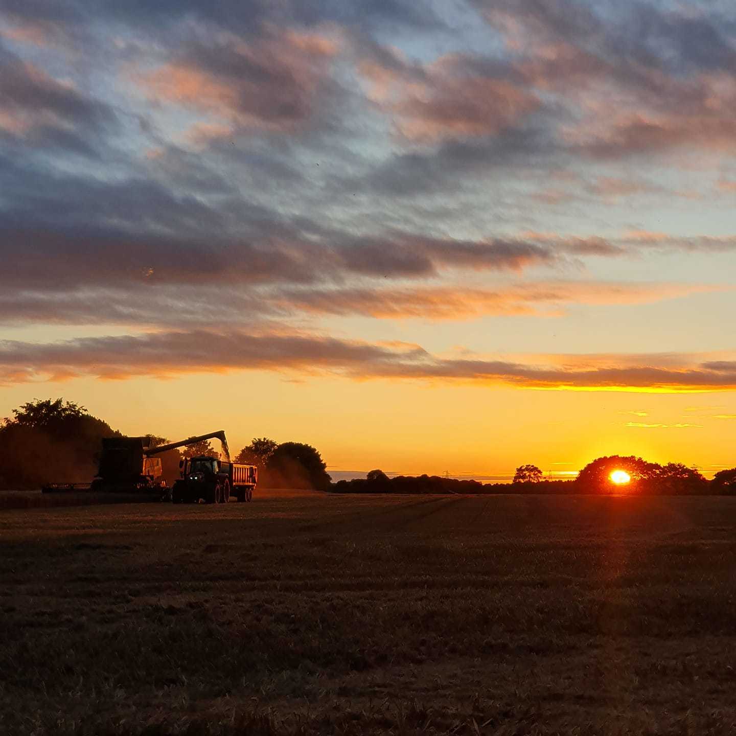 Windle Island sunset by Sue Atherton