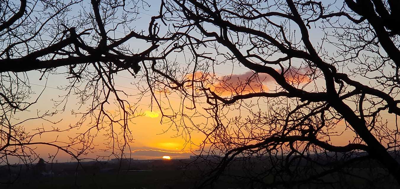 Near Carr Mill Dam by Sue Atherton