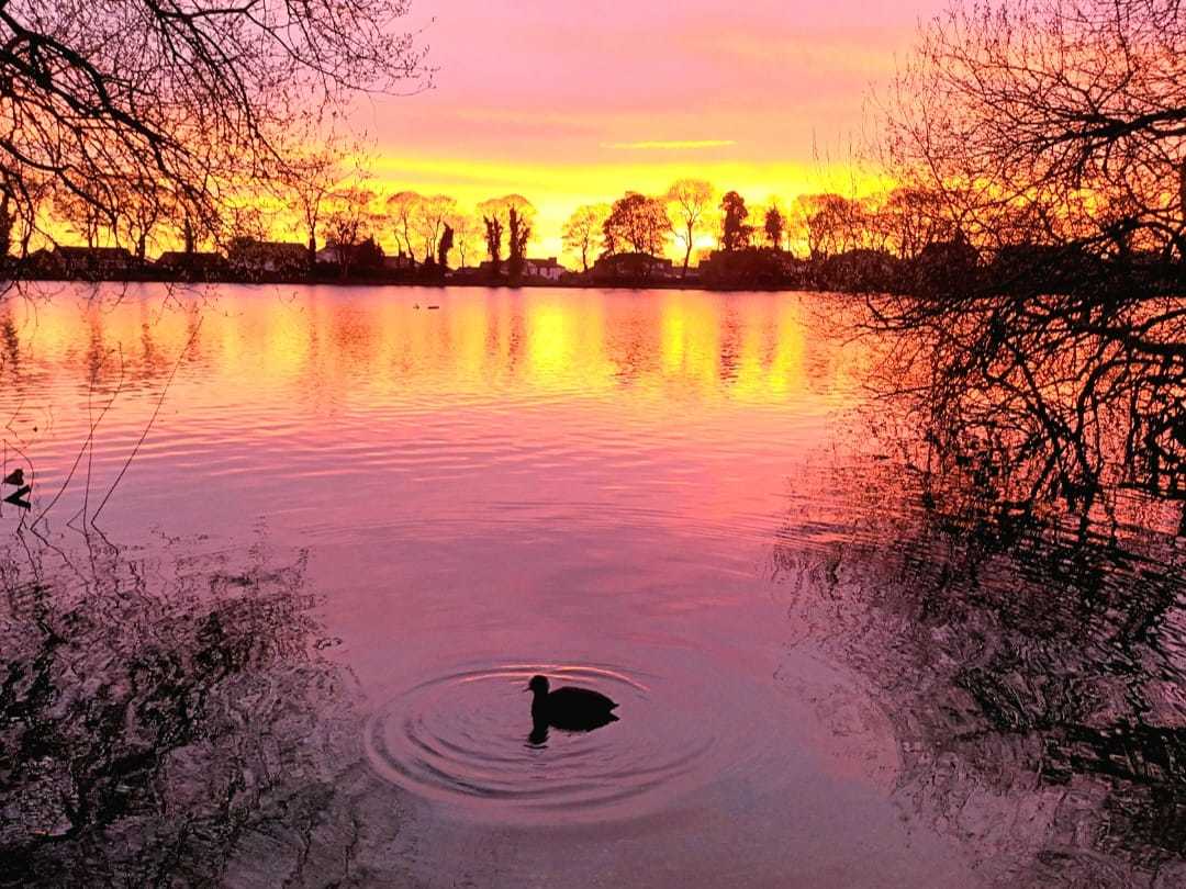 Dawning of a new day over Taylor Park by Suzie Remadems