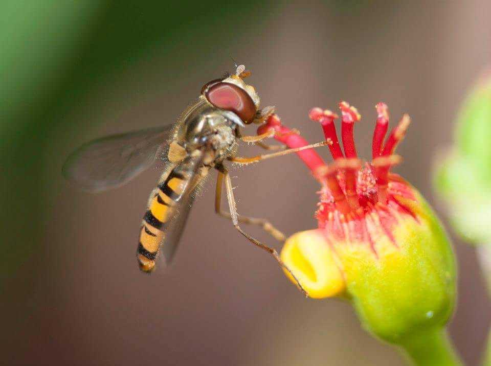 Having lunch by Gillian Turner