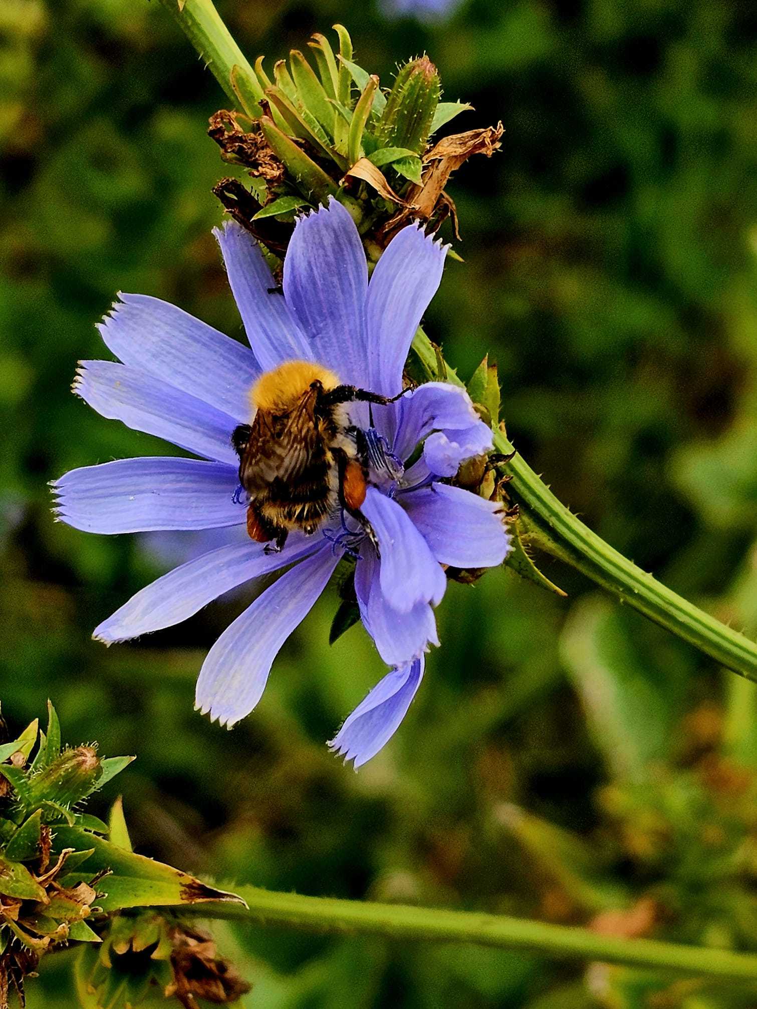 Nature at work by Delia Davies