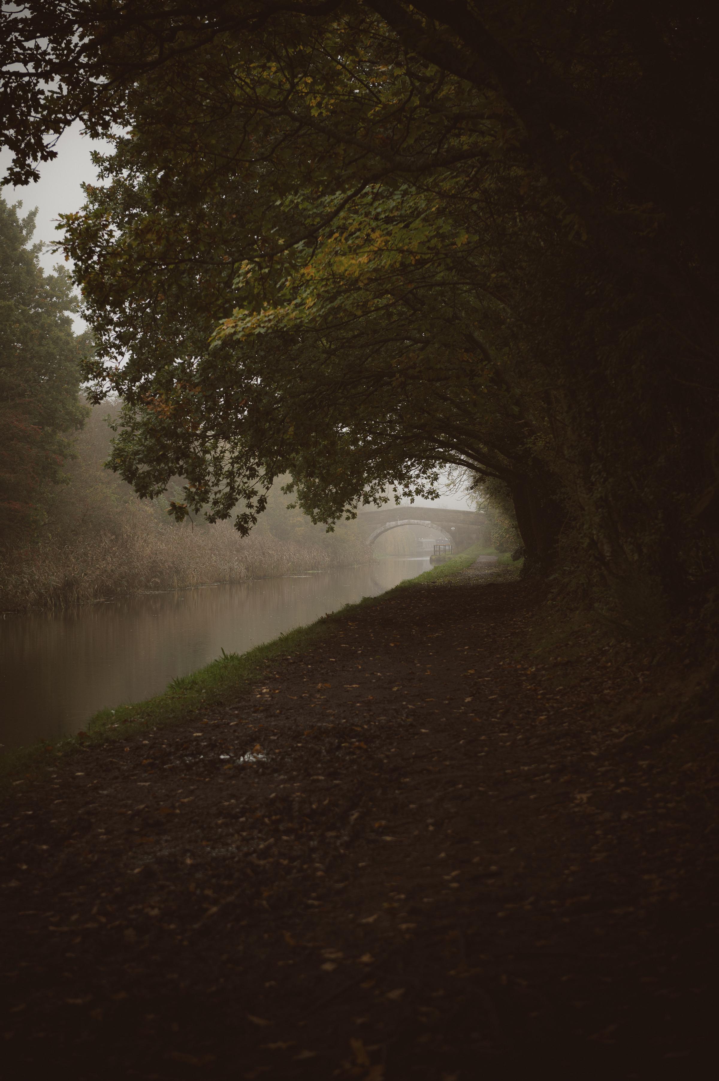 Autumn in Parbold