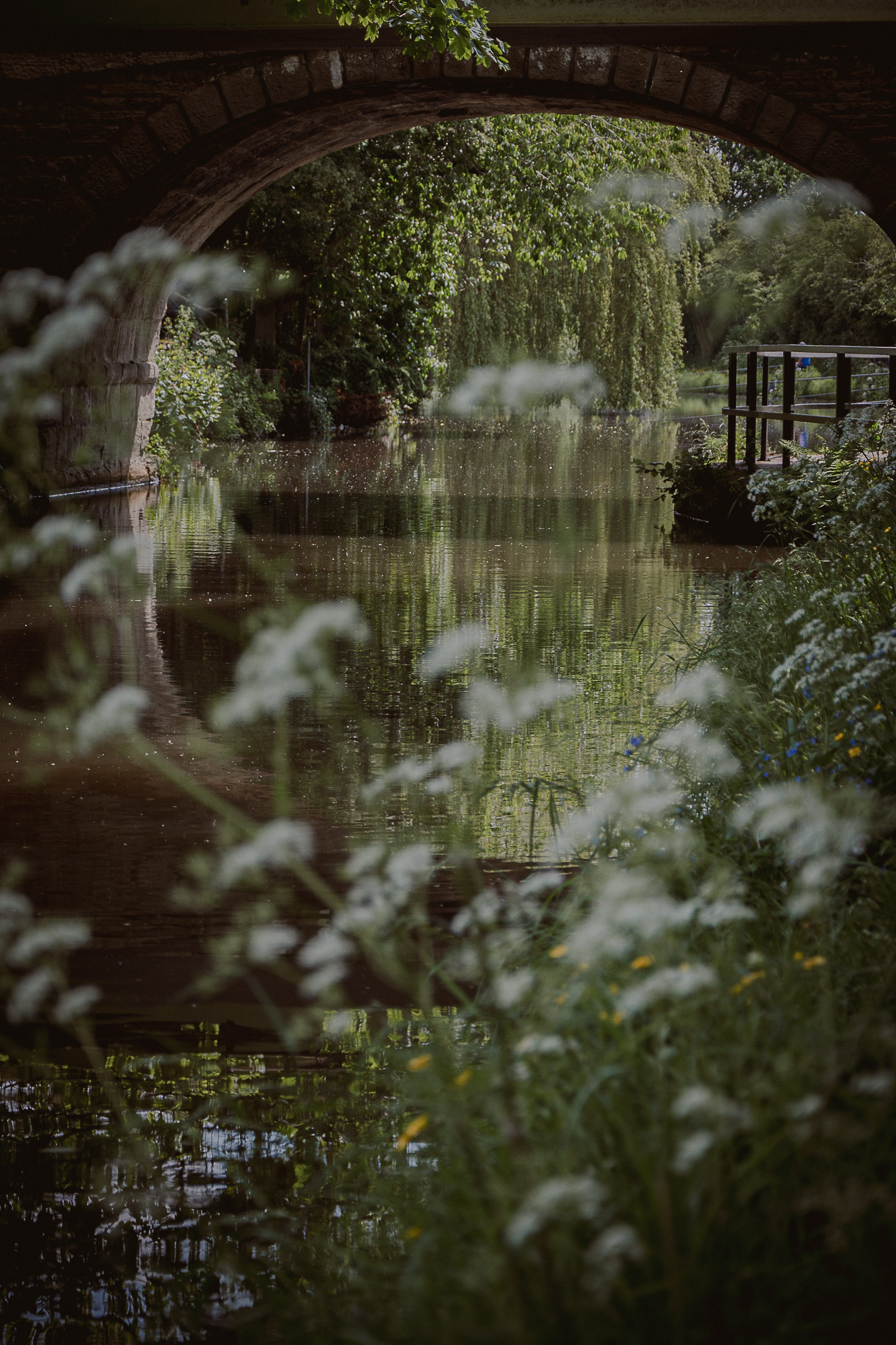 Spring on the canal