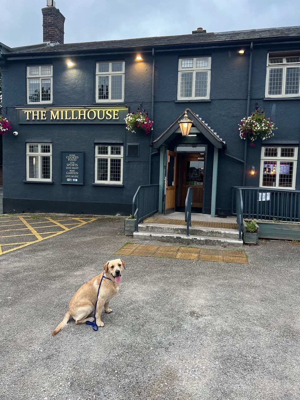 The Millhouse is dog friendly