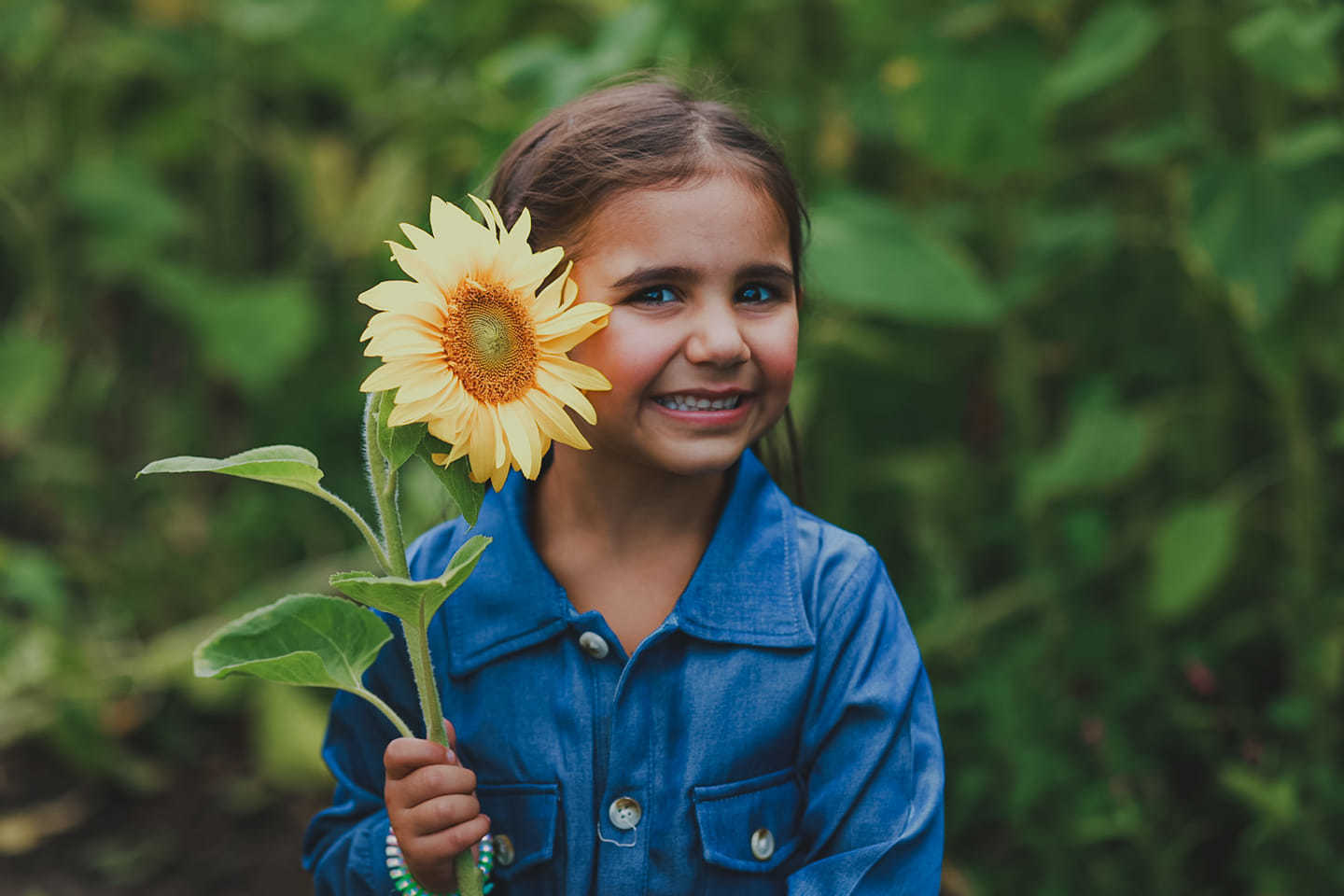 Sunflower fun by Katy Pilkington