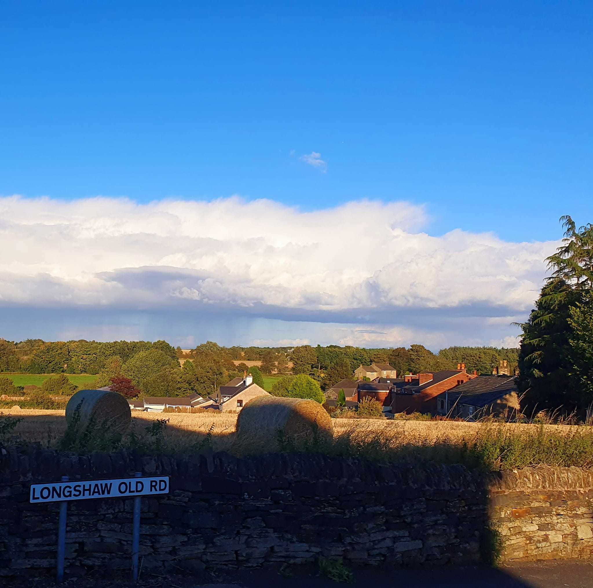 BIllinge by Clare White