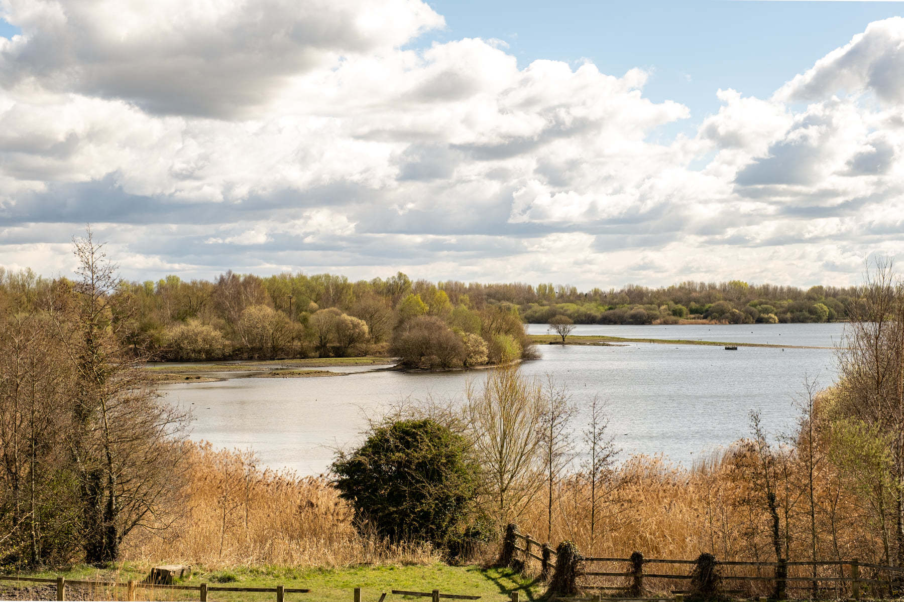 Pennington Flash by Gerald Murphy