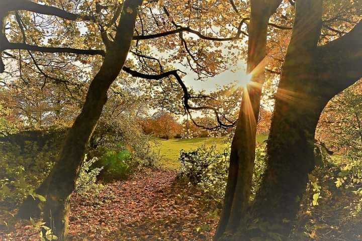 Sherdley Park by Peter Boylan