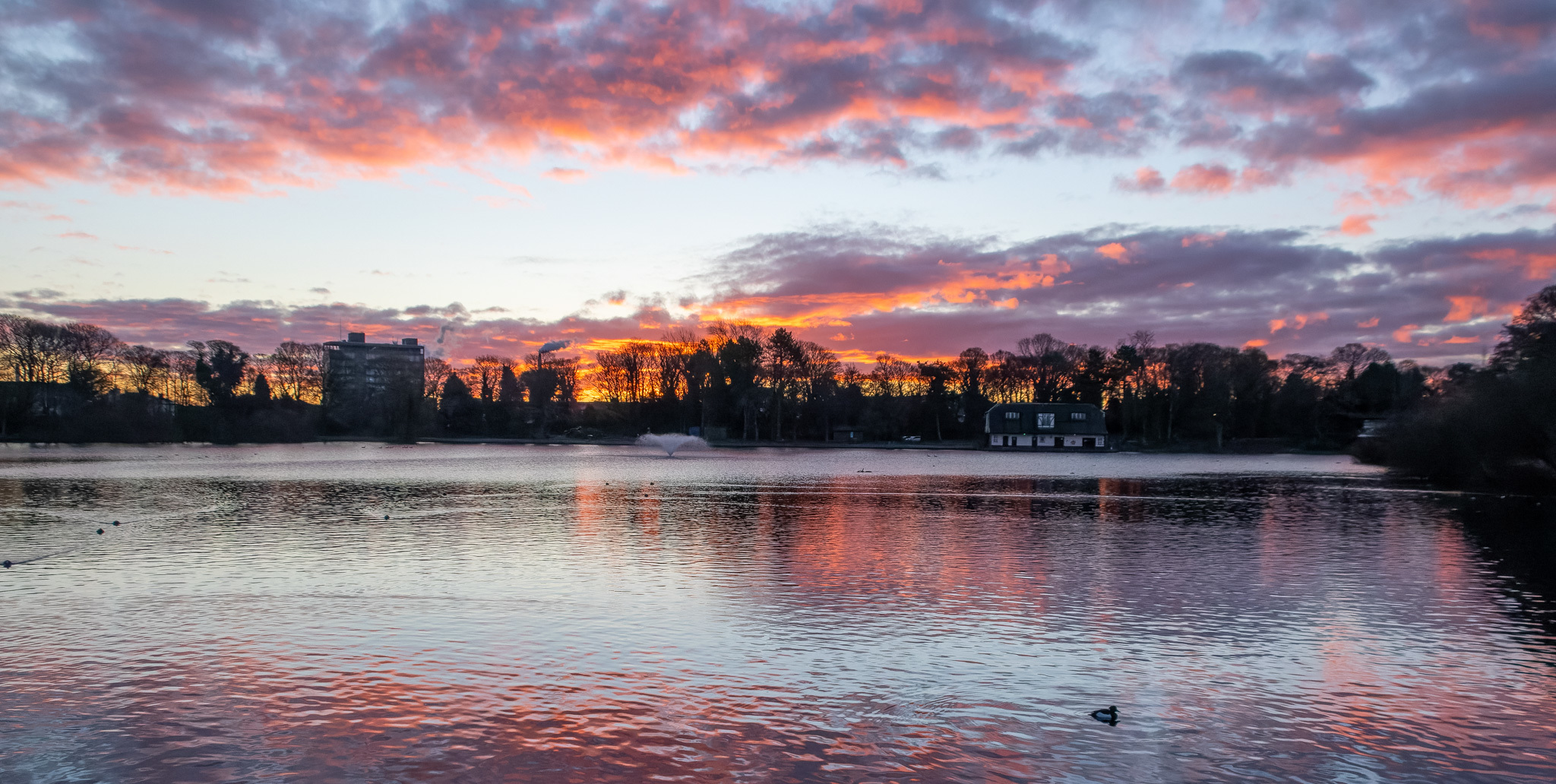 Taylor Park by Ann ODonnell