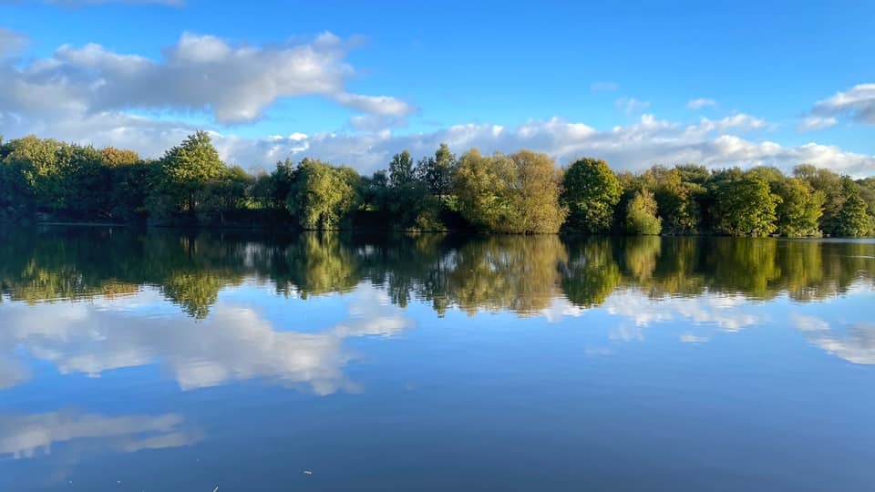 Unusual reflections by Matthew Webster