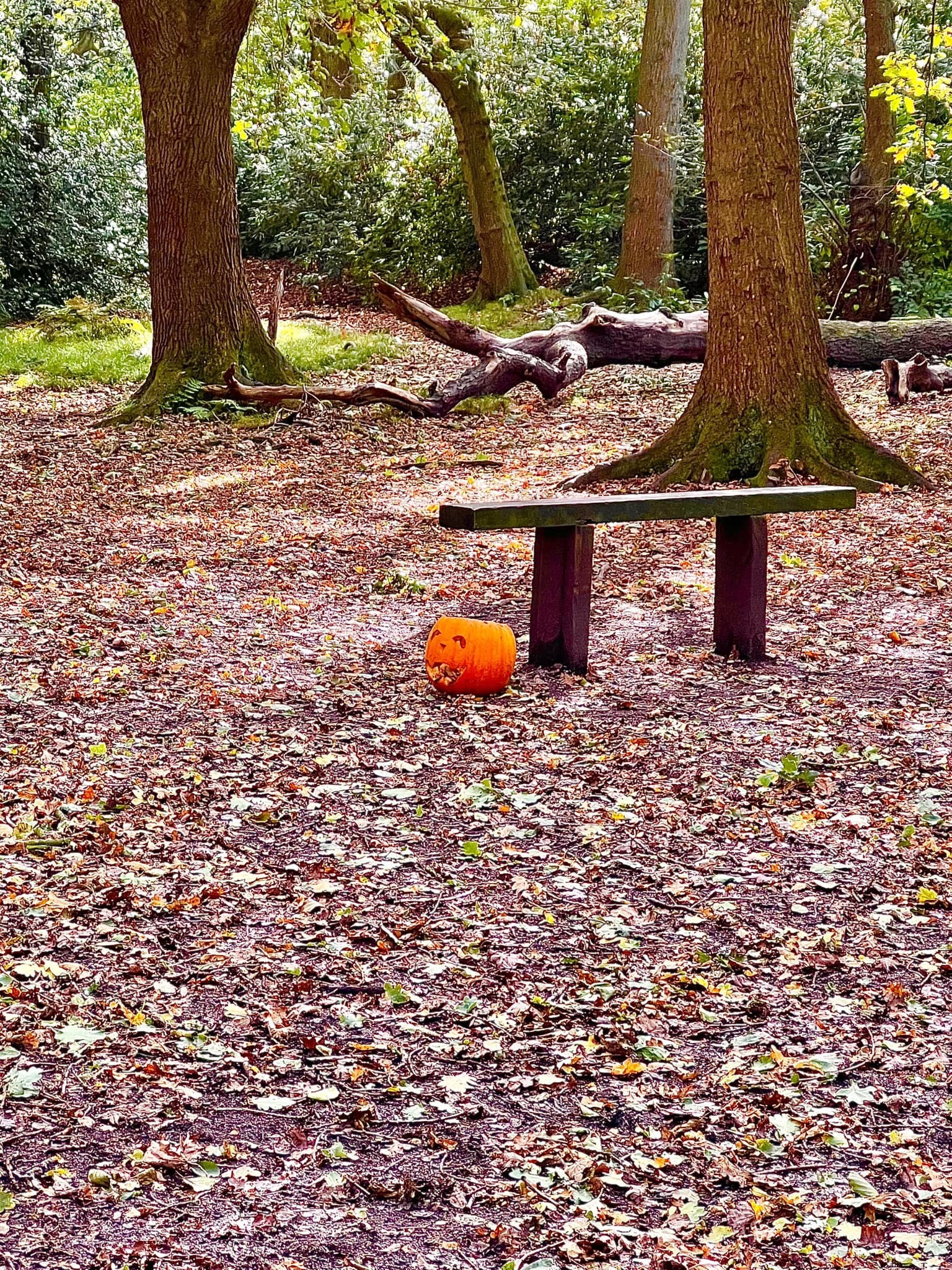 A touch of Halloween in Taylor Park by Rosie Anslow