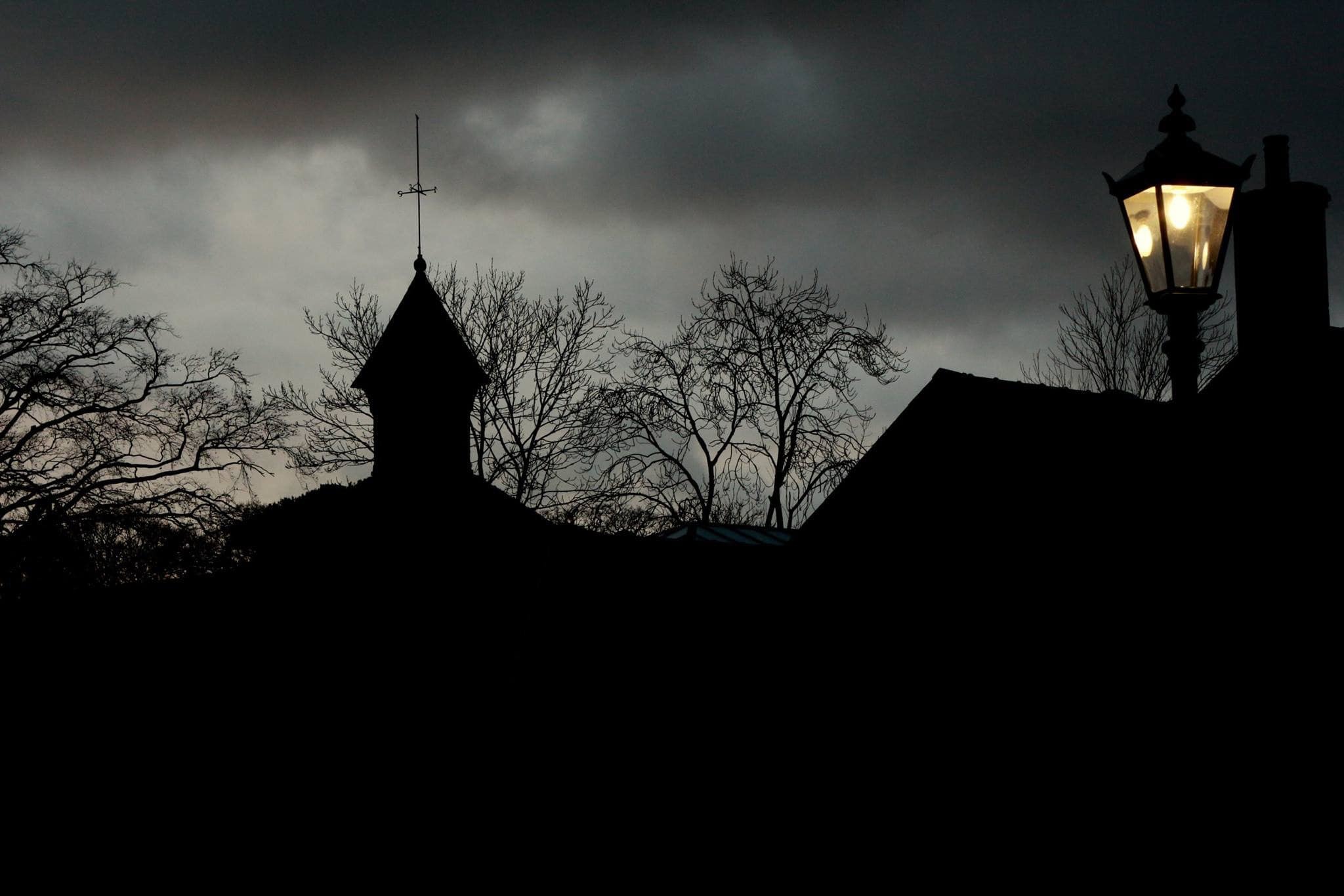 Halloween silhouettes by Hilary Bradshaw