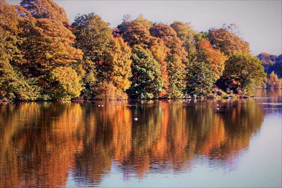 Carr Mill Dam by Peter Boylan