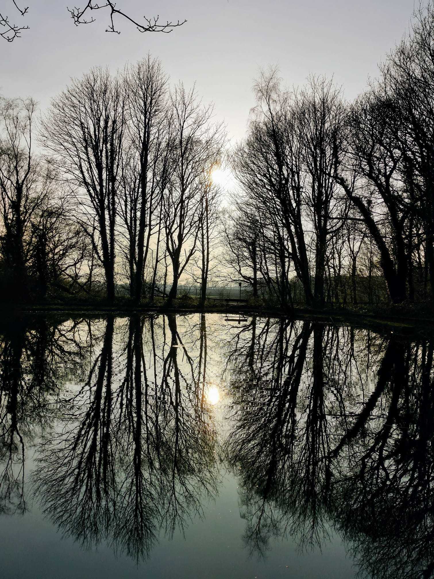 Reflections by Geoff Jackson