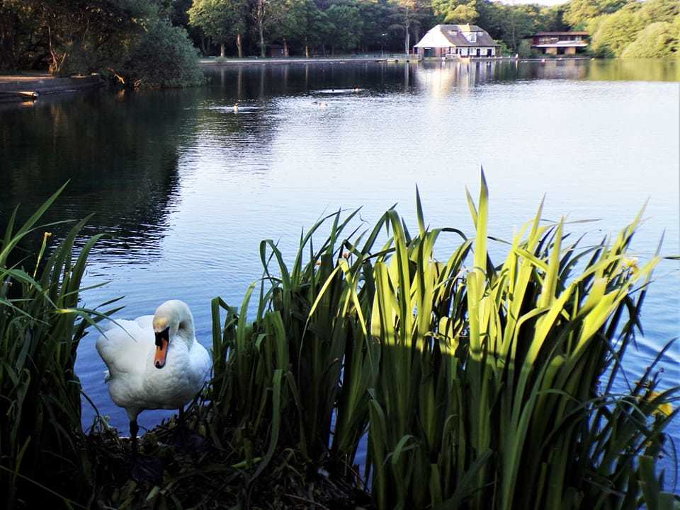 Morning shadows at Taylor Park by Suzie Remadems