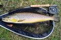 Newton angling news