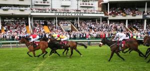 Priceless sprints to victory in Temple Stakes at Haydock