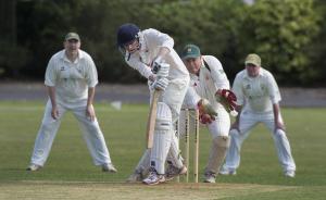 PICTURE GALLERY: St Helens Sports Festival