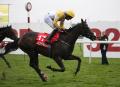 A quality field head Sprint Cup at Haydock