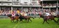 Haydock Park to host one of premium racing events The Temple Stakes